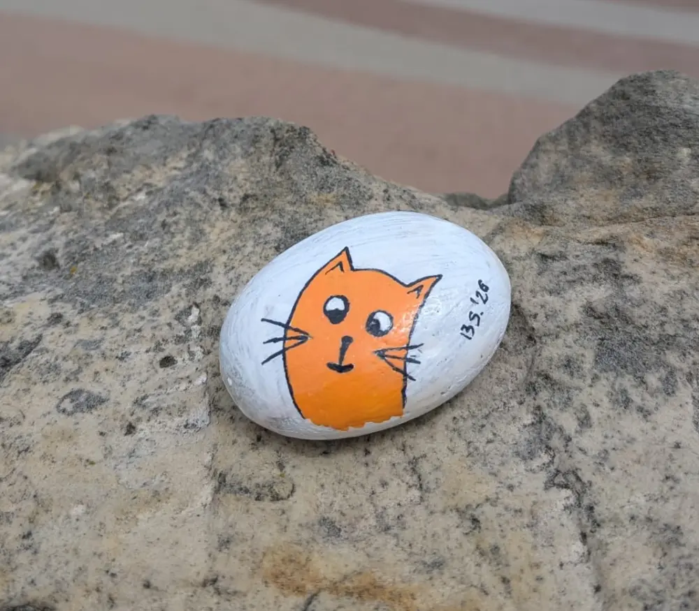 Track your painted rocks on their journey