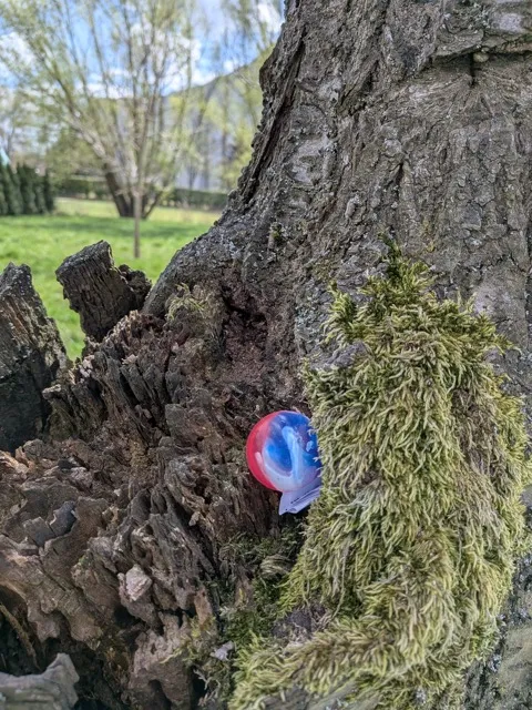 Code with swag hidden on a tree.