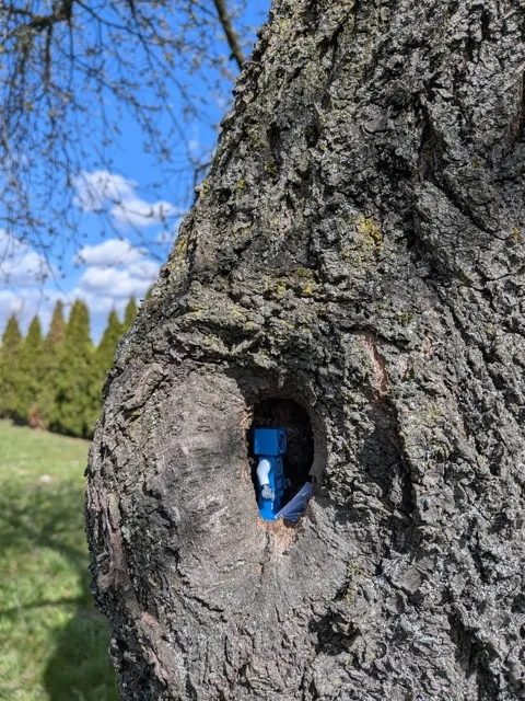 Lego figure in a hollow.