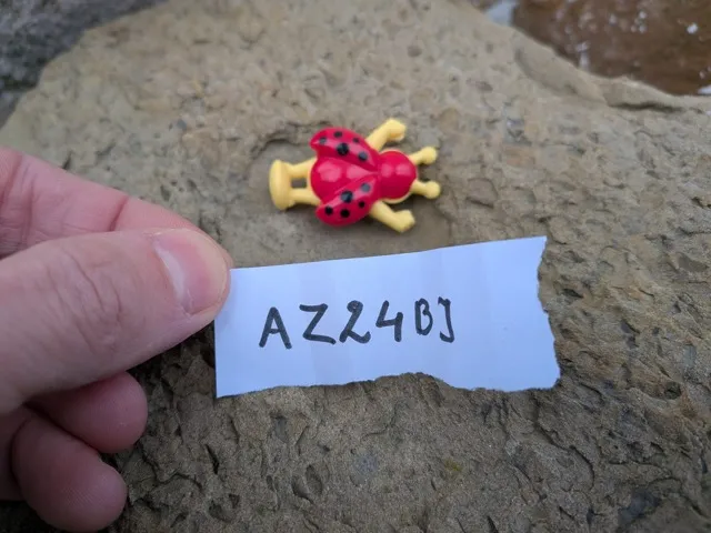 The ladybug was guarding the code.